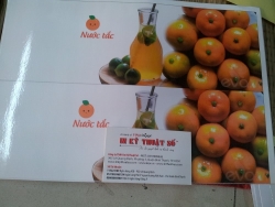 Dịch vụ in Decal PP giá rẻ