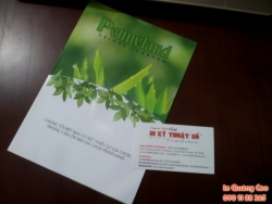In tờ rơi số lượng ít