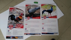 Mẫu lịch treo tường 2019 - In ấn lịch tết 2019 giá rẻ