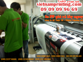 In PP giá rẻ lấy ngay tại Tân Phú